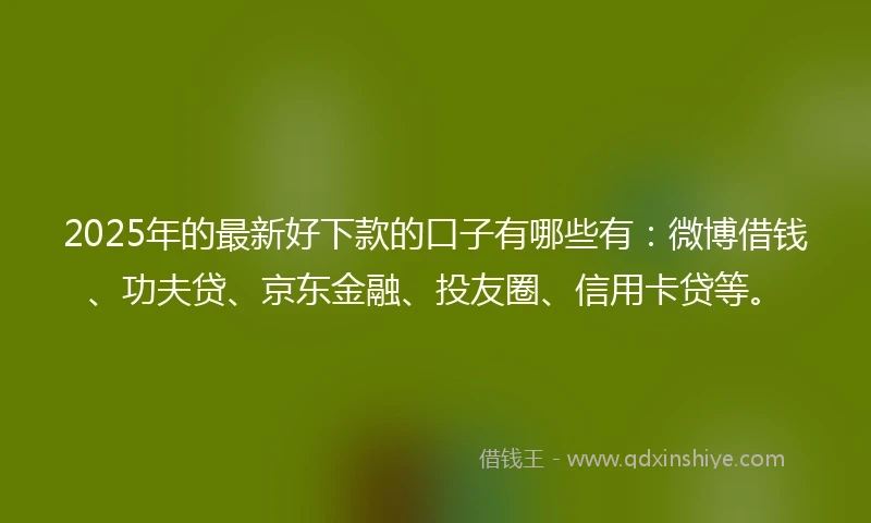2025年的最新好下款的口子有哪些有：微博借钱、功夫贷、京东金融、投友圈、信用卡贷等。