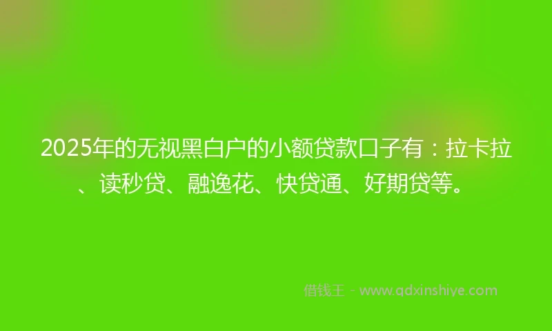 2025年的无视黑白户的小额贷款口子有：拉卡拉、读秒贷、融逸花、快贷通、好期贷等。