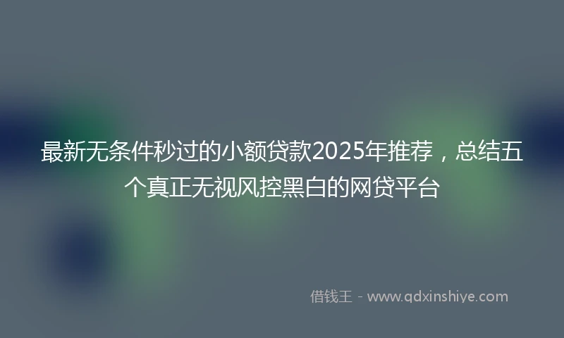 最新无条件秒过的小额贷款2025年推荐，总结五个真正无视风控黑白的网贷平台
