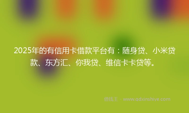 2025年的有信用卡借款平台有：随身贷、小米贷款、东方汇、你我贷、维信卡卡贷等。