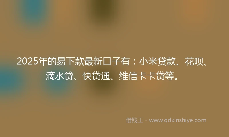 2025年的易下款最新口子有：小米贷款、花呗、滴水贷、快贷通、维信卡卡贷等。