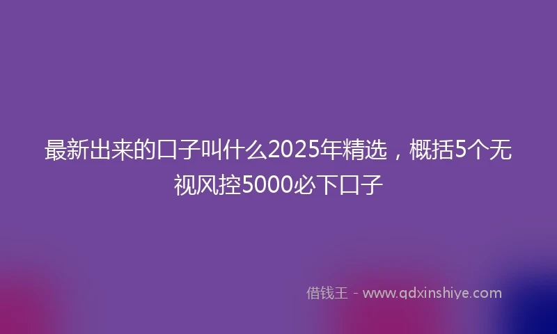 最新出来的口子叫什么2025年精选，概括5个无视风控5000必下口子