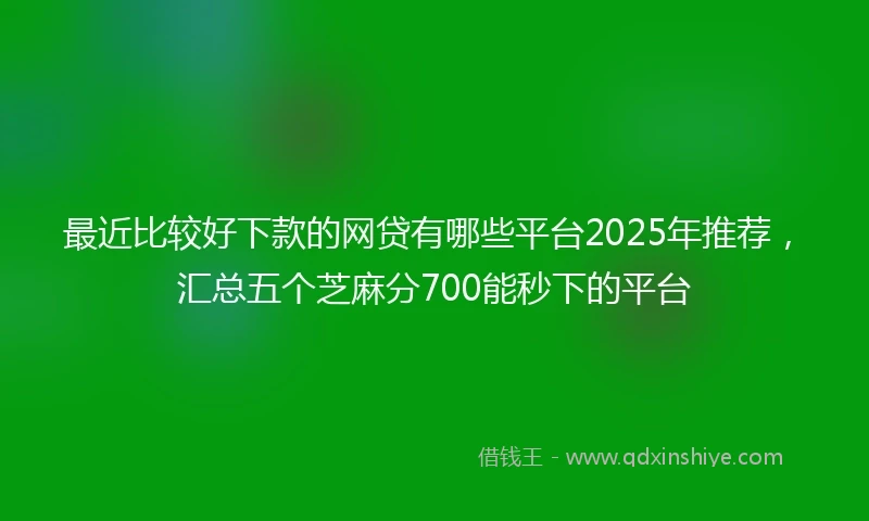 最近比较好下款的网贷有哪些平台2025年推荐，汇总五个芝麻分700能秒下的平台