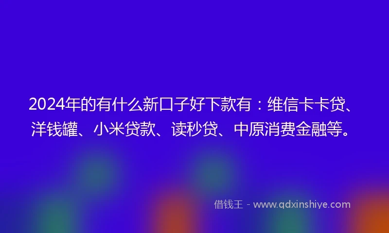 2024年的有什么新口子好下款有：维信卡卡贷、洋钱罐、小米贷款、读秒贷、中原消费金融等。