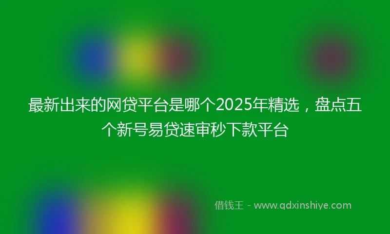 最新出来的网贷平台是哪个2025年精选，盘点五个新号易贷速审秒下款平台