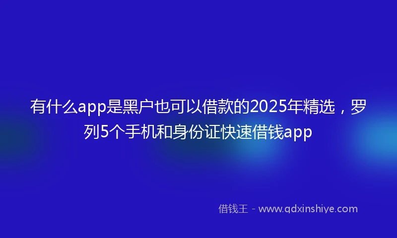 有什么app是黑户也可以借款的2025年精选，罗列5个手机和身份证快速借钱app