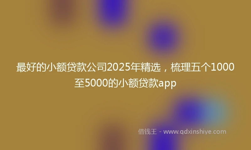 最好的小额贷款公司2025年精选，梳理五个1000至5000的小额贷款app