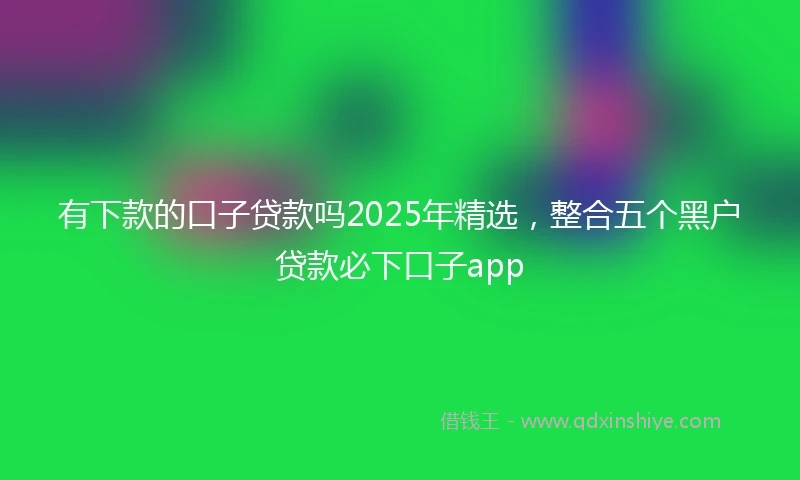 有下款的口子贷款吗2025年精选，整合五个黑户贷款必下口子app