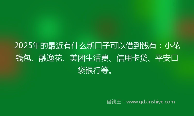 2025年的最近有什么新口子可以借到钱有：小花钱包、融逸花、美团生活费、信用卡贷、平安口袋银行等。