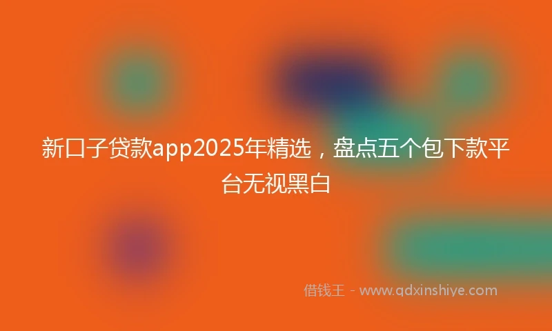 新口子贷款app2025年精选，盘点五个包下款平台无视黑白