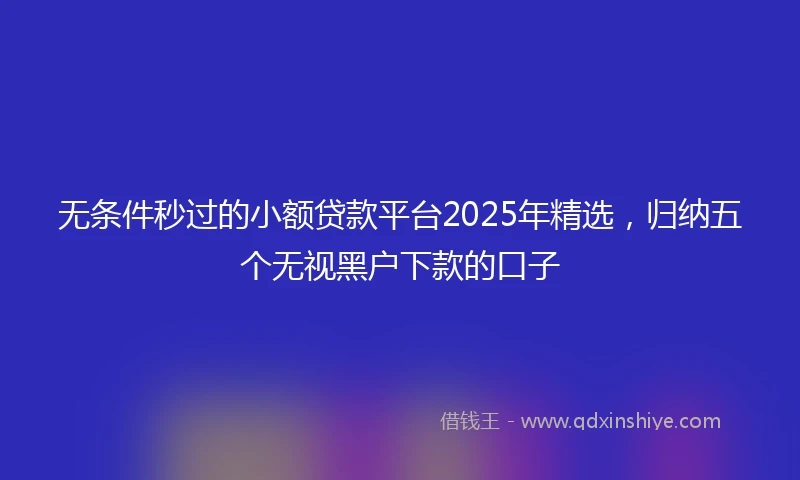 无条件秒过的小额贷款平台2025年精选，归纳五个无视黑户下款的口子