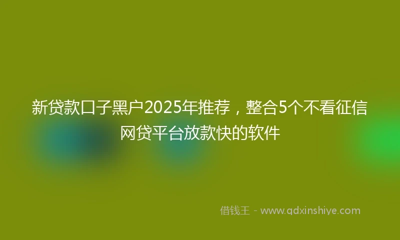 新贷款口子黑户2025年推荐，整合5个不看征信网贷平台放款快的软件