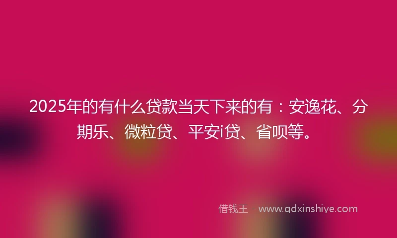 2025年的有什么贷款当天下来的有：安逸花、分期乐、微粒贷、平安i贷、省呗等。