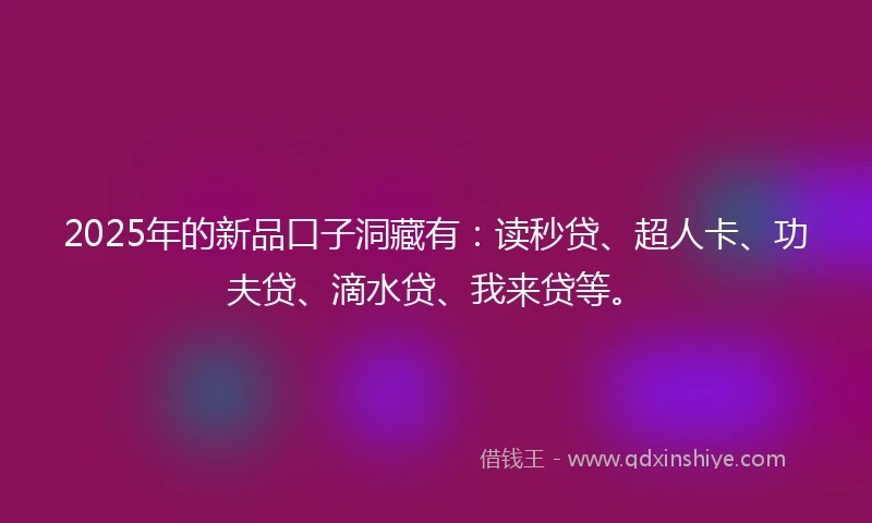 2025年的新品口子洞藏有：读秒贷、超人卡、功夫贷、滴水贷、我来贷等。