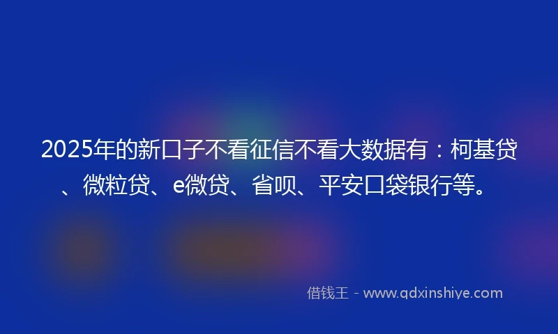 2025年的新口子不看征信不看大数据有：柯基贷、微粒贷、e微贷、省呗、平安口袋银行等。