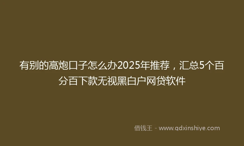 有别的高炮口子怎么办2025年推荐，汇总5个百分百下款无视黑白户网贷软件