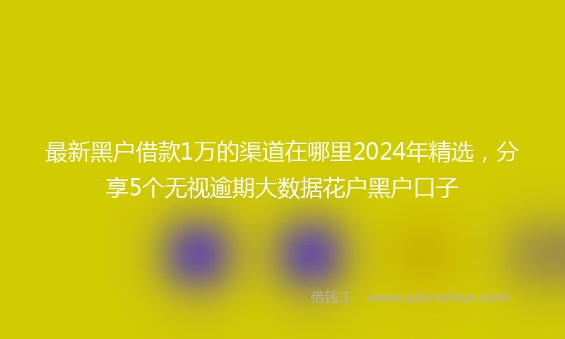 最新黑户借款1万的渠道在哪里2024年精选，分享5个无视逾期大数据花户黑户口子