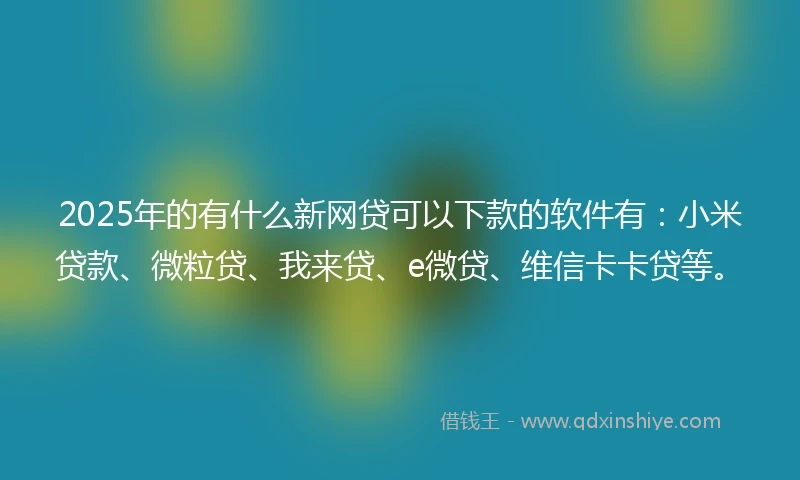 2025年的有什么新网贷可以下款的软件有：小米贷款、微粒贷、我来贷、e微贷、维信卡卡贷等。