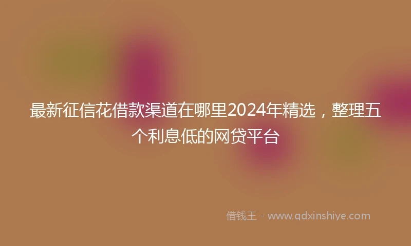 最新征信花借款渠道在哪里2024年精选，整理五个利息低的网贷平台
