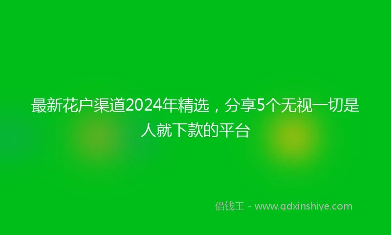 最新花户渠道2024年精选，分享5个无视一切是人就下款的平台