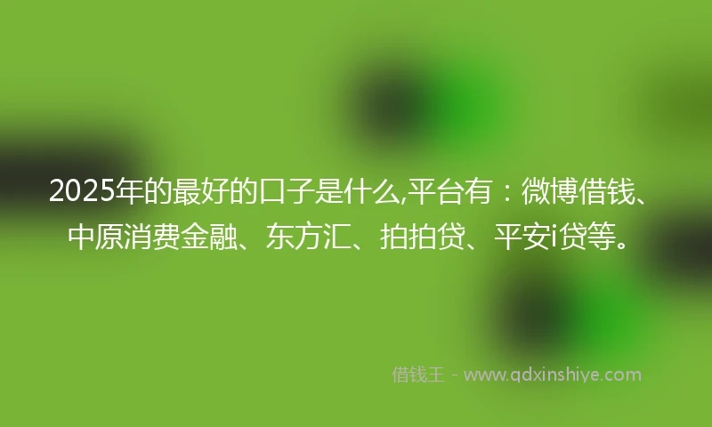 2025年的最好的口子是什么,平台有：微博借钱、中原消费金融、东方汇、拍拍贷、平安i贷等。