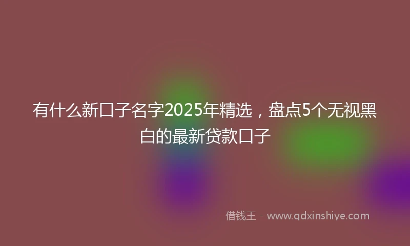 有什么新口子名字2025年精选，盘点5个无视黑白的最新贷款口子