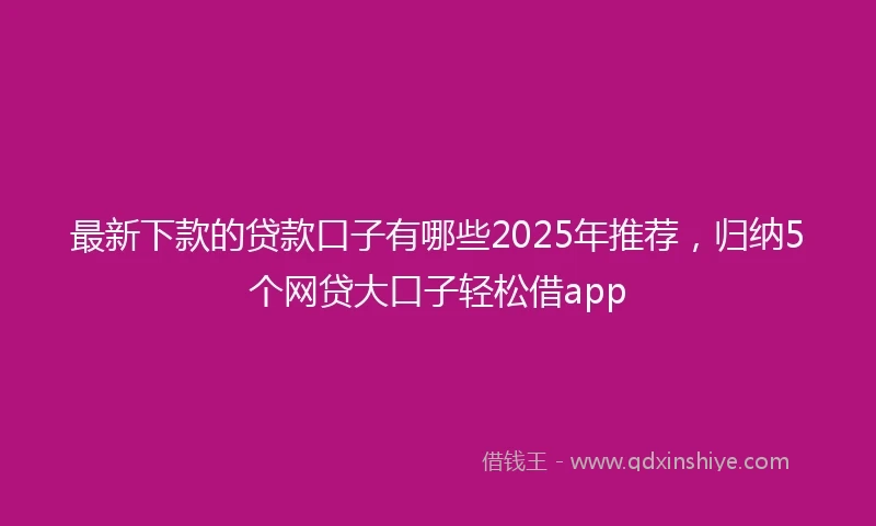 最新下款的贷款口子有哪些2025年推荐，归纳5个网贷大口子轻松借app