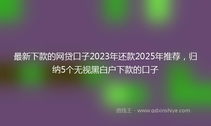 最新下款的网贷口子2023年还款2025年推荐，归纳5个无视黑白户下款的口子