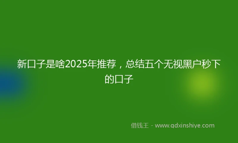 新口子是啥2025年推荐，总结五个无视黑户秒下的口子