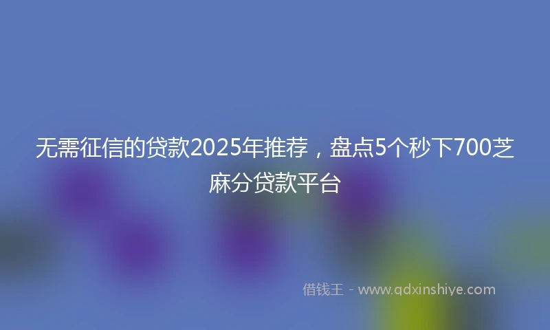 无需征信的贷款2025年推荐，盘点5个秒下700芝麻分贷款平台