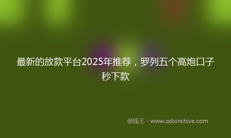 最新的放款平台2025年推荐，罗列五个高炮口子秒下款