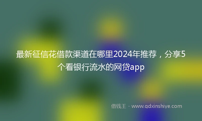 最新征信花借款渠道在哪里2024年推荐，分享5个看银行流水的网贷app