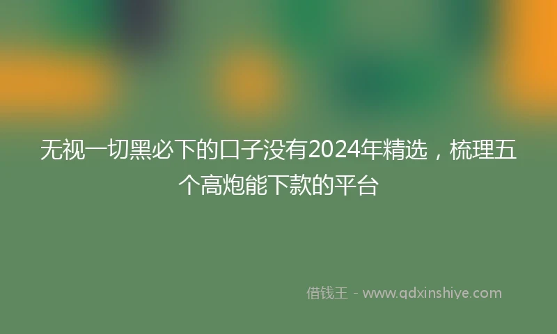 无视一切黑必下的口子没有2024年精选，梳理五个高炮能下款的平台
