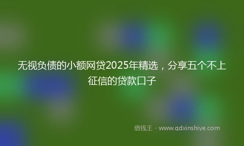 无视负债的小额网贷2025年精选，分享五个不上征信的贷款口子