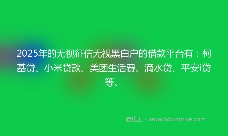 2025年的无视征信无视黑白户的借款平台有：柯基贷、小米贷款、美团生活费、滴水贷、平安i贷等。