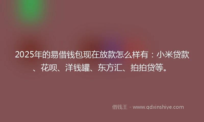 2025年的易借钱包现在放款怎么样有：小米贷款、花呗、洋钱罐、东方汇、拍拍贷等。