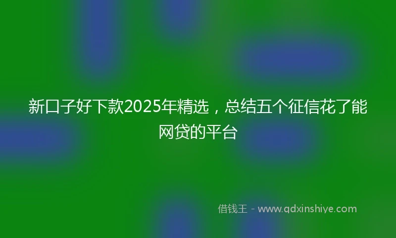 新口子好下款2025年精选，总结五个征信花了能网贷的平台