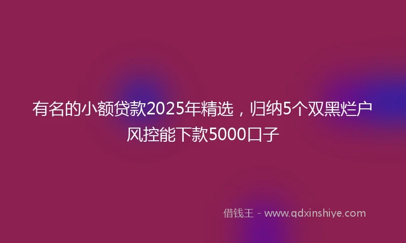有名的小额贷款2025年精选，归纳5个双黑烂户风控能下款5000口子