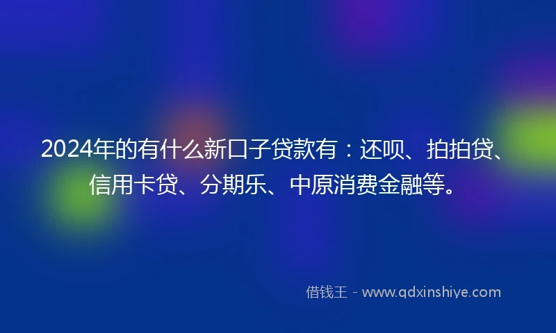 2024年的有什么新口子贷款有：还呗、拍拍贷、信用卡贷、分期乐、中原消费金融等。