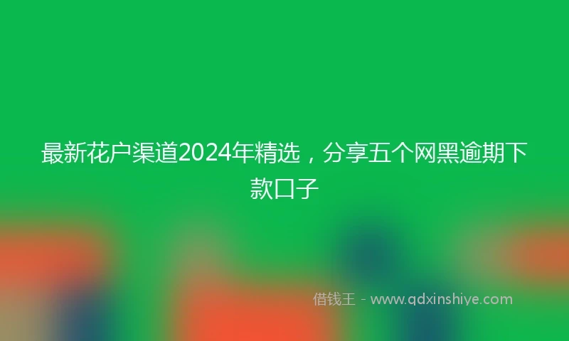 最新花户渠道2024年精选，分享五个网黑逾期下款口子