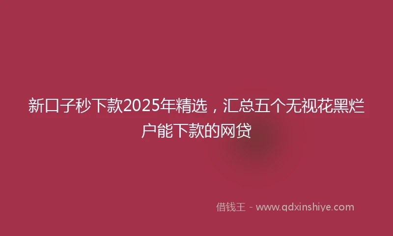 新口子秒下款2025年精选，汇总五个无视花黑烂户能下款的网贷