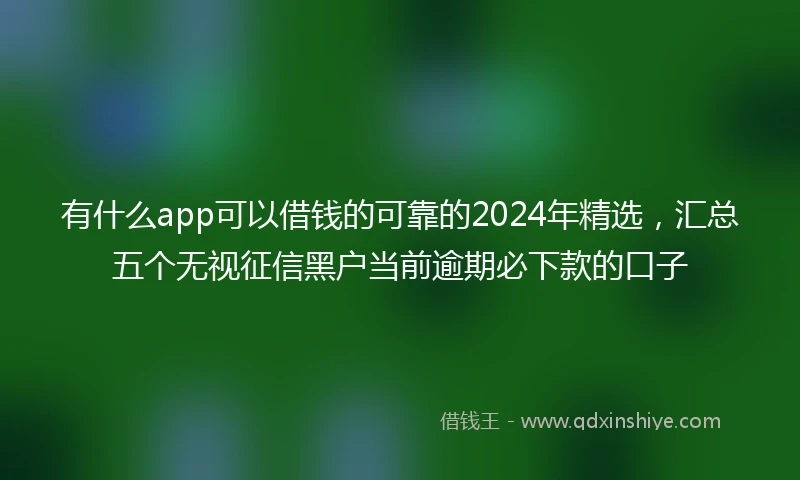 有什么app可以借钱的可靠的2024年精选,汇总五个无视征信黑户当前逾期必下款的口子