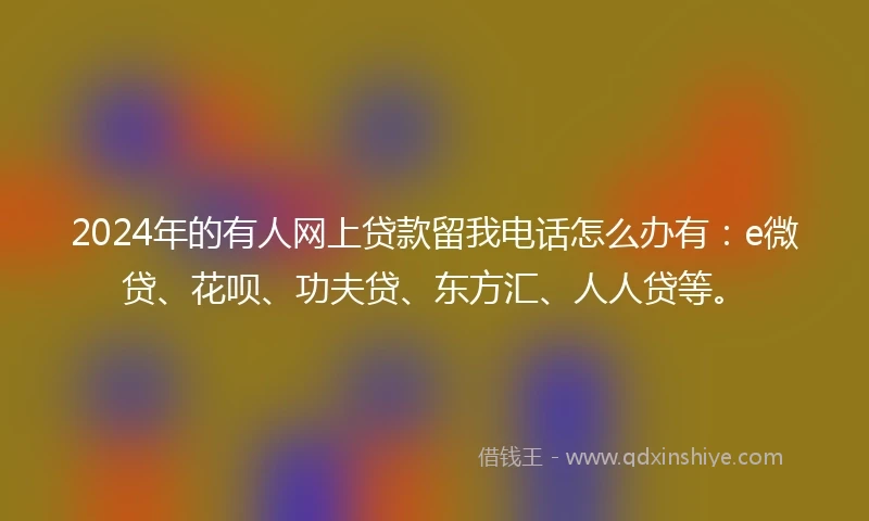 2024年的有人网上贷款留我电话怎么办有：e微贷、花呗、功夫贷、东方汇、人人贷等。