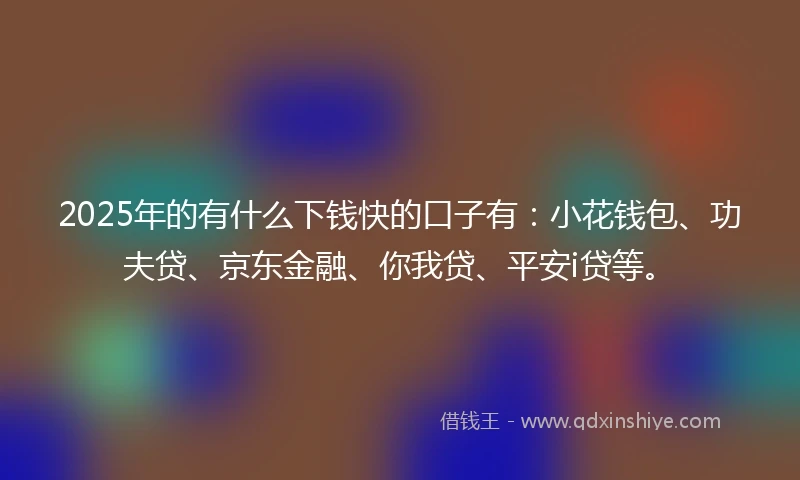 2025年的有什么下钱快的口子有：小花钱包、功夫贷、京东金融、你我贷、平安i贷等。