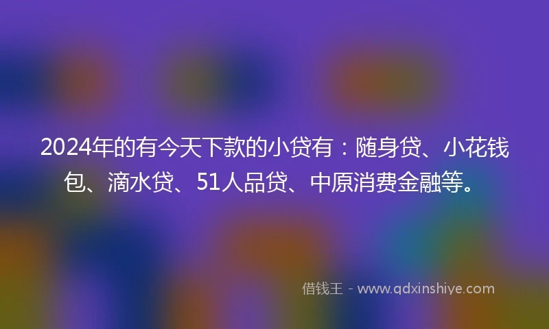 2024年的有今天下款的小贷有：随身贷、小花钱包、滴水贷、51人品贷、中原消费金融等。