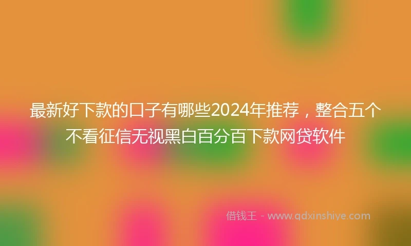 最新好下款的口子有哪些2024年推荐，整合五个不看征信无视黑白百分百下款网贷软件