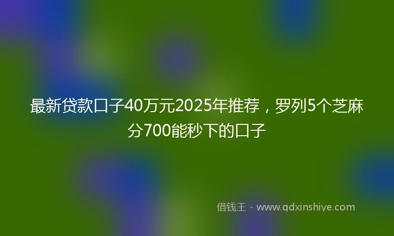 最新贷款口子40万元2025年推荐，罗列5个芝麻分700能秒下的口子