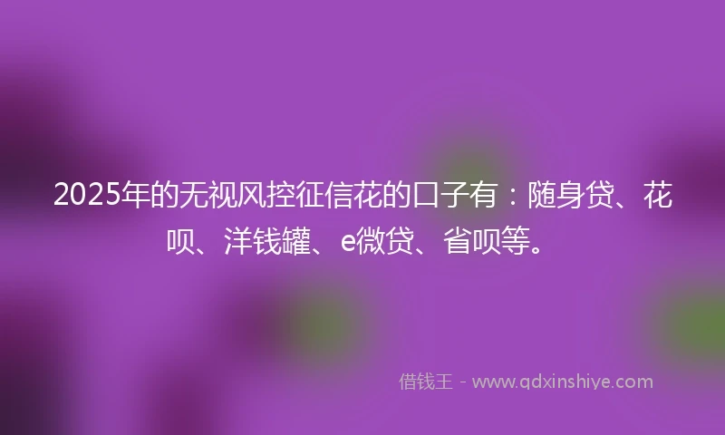 2025年的无视风控征信花的口子有：随身贷、花呗、洋钱罐、e微贷、省呗等。