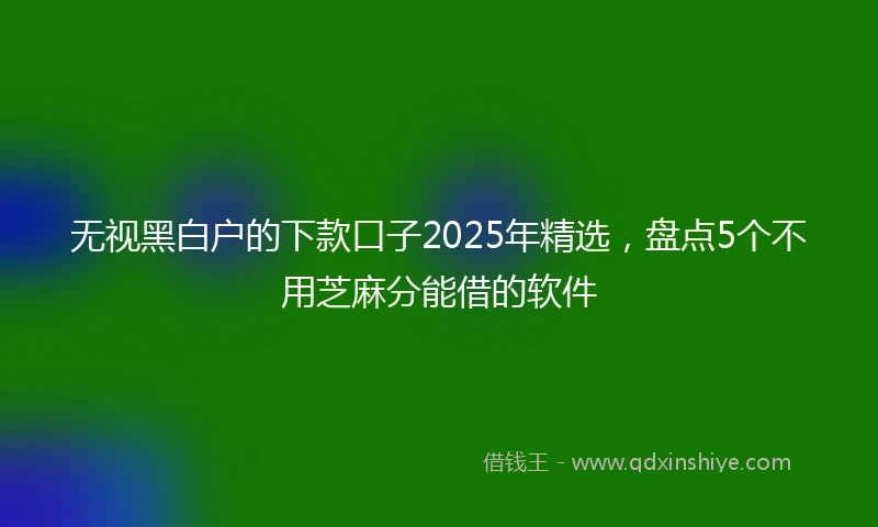无视黑白户的下款口子2025年精选，盘点5个不用芝麻分能借的软件