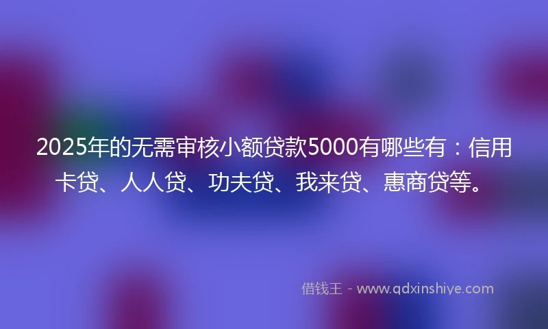 2025年的无需审核小额贷款5000有哪些有：信用卡贷、人人贷、功夫贷、我来贷、惠商贷等。